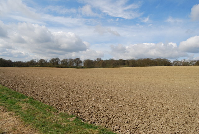 A large fallow field south of Hatchlands Farm, courtesy Wikimedia Commons